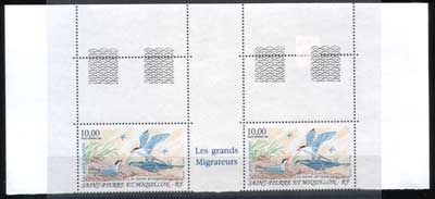 Timbres De St Pierre Et Miquelon Oiseaux Migrateurs Le Sterne Artique  PA De 1995 Haut De Feuille Superbe, Extraordinair - Altri & Non Classificati