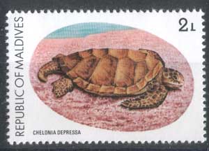 Timbres Des Maldives 1 Tp ** Thema Tortue Superbe - Tortues