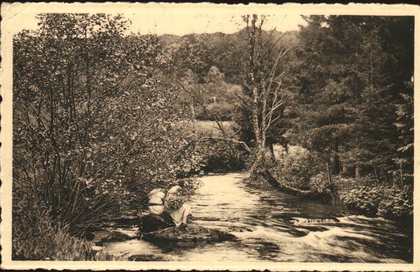 Libin : Ruisseau Du Moulin En Sous-bois - Libin