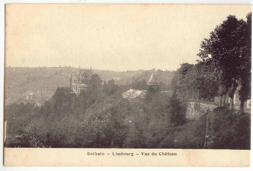 Lg46 - 12- DOLHAIN - LIMBOURG - Vue Du Château - Limbourg