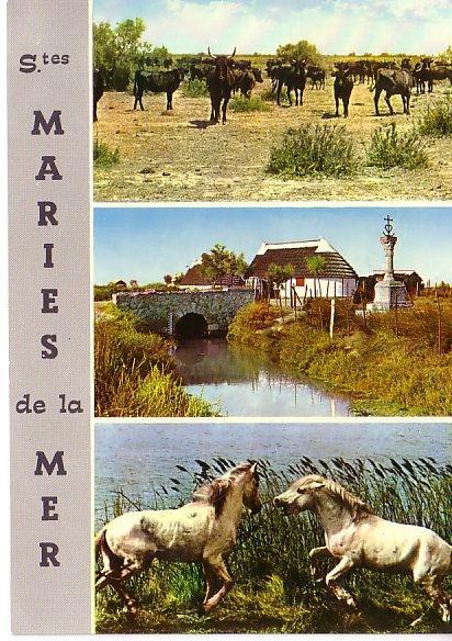 CARTE POSTALE DES STES-MARIES DE LA MER - LA CAMARGUE - Saintes Maries De La Mer