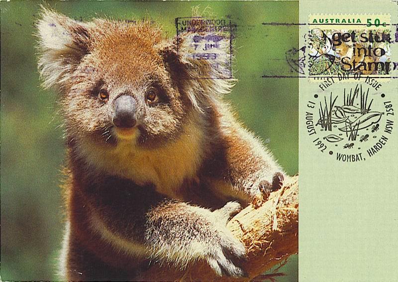 Australie :  Entier Carte Maximum Sur Le Koala. Superbe ! - Monkeys
