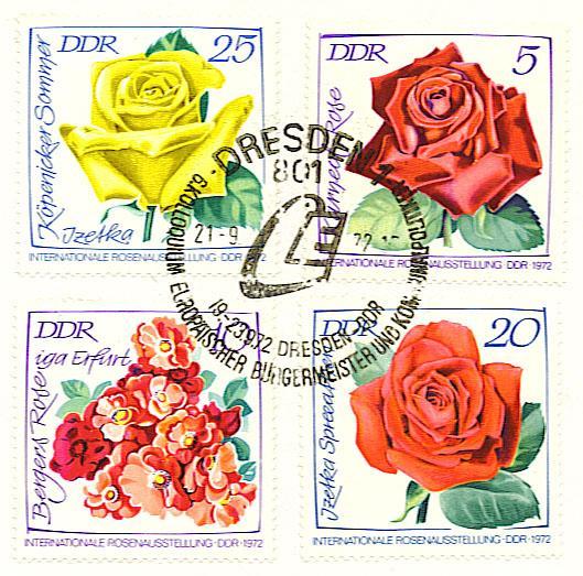 Allemagne DDR :  Serie Roses Sur Lettre Entière. Superbe ! - Roses