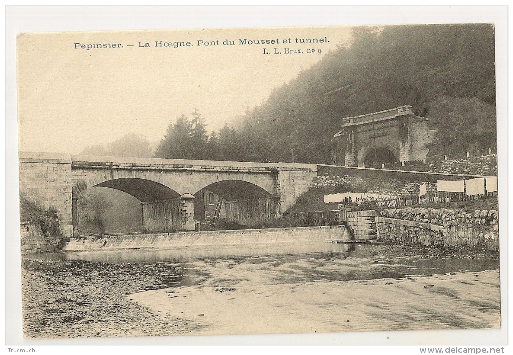 Lg58-25 - PEPINSTER - La Hoegne. Pont Du Mousset Et Tunnel. - Pepinster