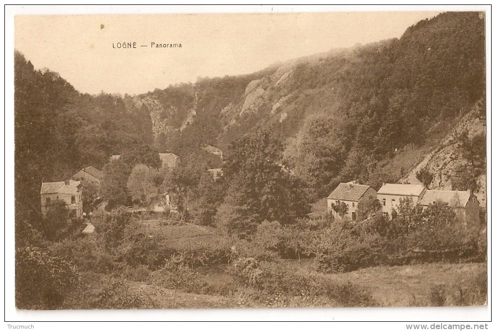 Lg29 -41  - LOGNE - Panorama - Ferrieres