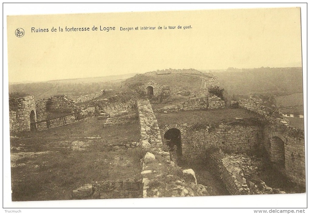 Lg29 -40  - Ruines De La Forteresse De Logne - Donjon Et Intérieur De La Tour De Guet - Ferrières