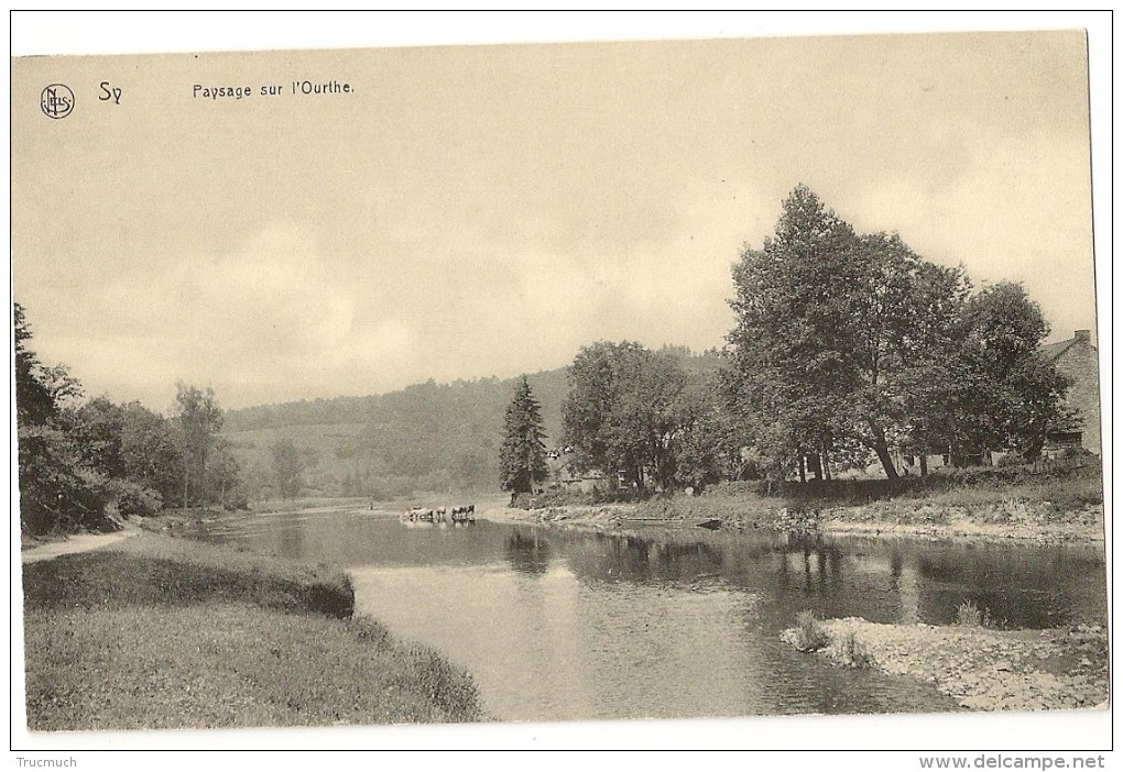 Lg29-44 - SY - Passage Sur L' Ourthe - Ferrières