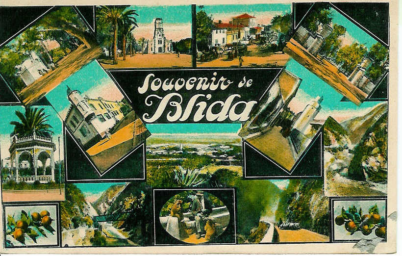 BLIDA    Souvenir De Blida Carte Neuve - Blida