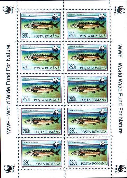 Romania W.W.F.1994 Blocks Fishis,mint Very Good Condition. - Otros & Sin Clasificación