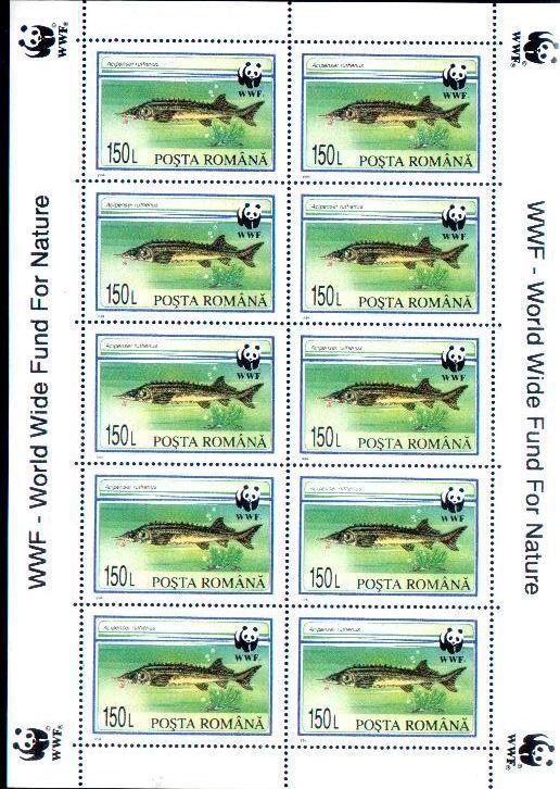 Romania W.W.F.1994 Blocks Fishis,mint Very Good Condition. - Otros & Sin Clasificación