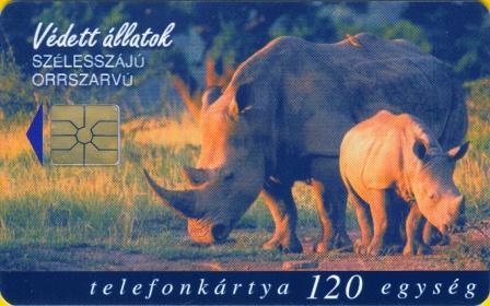 Hungary - P1998-34 - Rhinoceros - Szélesszájú Orrszarvú - Hungary