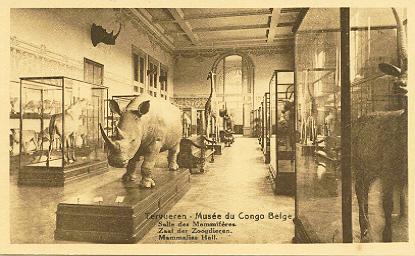 Tervueren Musée Du Congo Belge Salle Des Mamifères Zaal Der Zoodieren -T6- - Tervuren