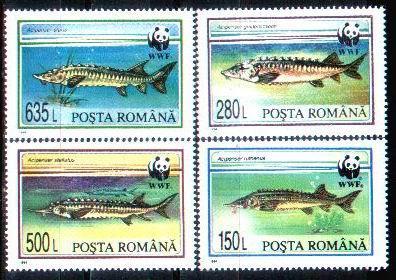 Romania 1984 Mint Stamps WWF With Fishs. - Other & Unclassified