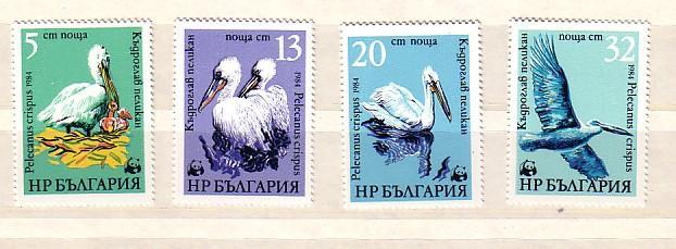 BULGARIA/ Bulgarie   1984  WWF- PELICAN  4v.-MNH - Other & Unclassified