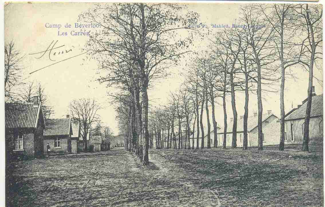 Leopolsburg, Camp De Beverloo , 1919, Ocb Nr 53 , Stempel Bourg-leopold - Leopoldsburg (Kamp Van Beverloo)