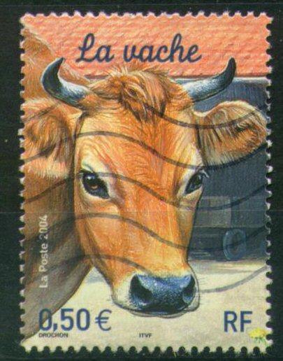 #2337 - France/Vache Obl - Boerderij