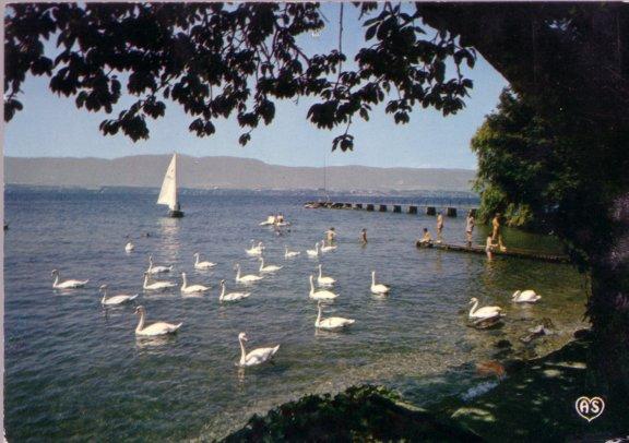 CARTE POSTALE DE MESSERY-DOUVAINE : CENTRE DE VACANCES POPULAIRES - Messery