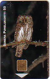 FINLANDE PRIVEE 50U NEUVE MINT CHOUETTE RAPACE NOCTURNE RARE - Owls