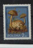 YT N°2510 2Z CHAMPIGNONS NEUF POLOGNE - Ongebruikt