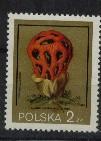 YT N°2511  2Z CHAMPIGNONS NEUF POLOGNE - Unused Stamps