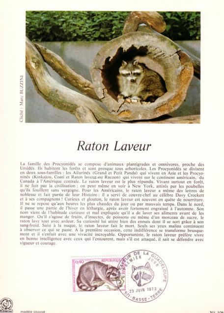 ENCART PAPIER GLACE PREMIER JOUR RATON LAVEUR DE LA GUADELOUPE - Roedores