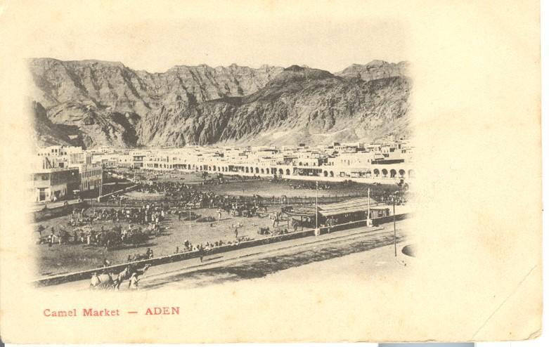 Aden Camel Market - Le Marché Aux Chameaux - Yémen