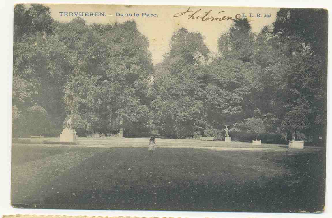 Tervueren , Park ,  Ocb Nr 81 , Stempel Tervueren , Zie Scans 1910 - Tervuren