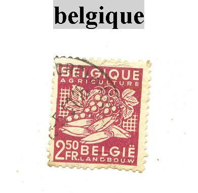 Timbre De Belgique N° 767 - Gebraucht