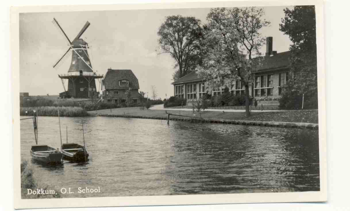 Dokkum , Windmolen  Rond 1953 , Niet Gelopen  , Zie Scan (ned 84) Fotokaart - Dokkum