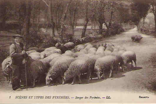 Cpa Animée Berger Des Pyrénées 1 LL - Personnages