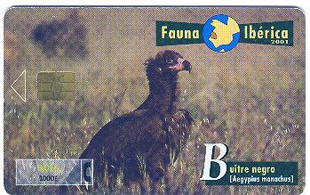 Spain - Fauna Ibérica - Bird - Buitre Negro - Andere & Zonder Classificatie