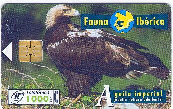 Spain - Fauna Ibérica - Bird - Aguila Imperial - Andere & Zonder Classificatie