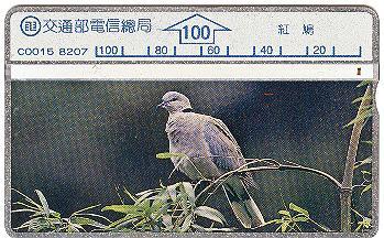Taiwan - Bird - Andere & Zonder Classificatie