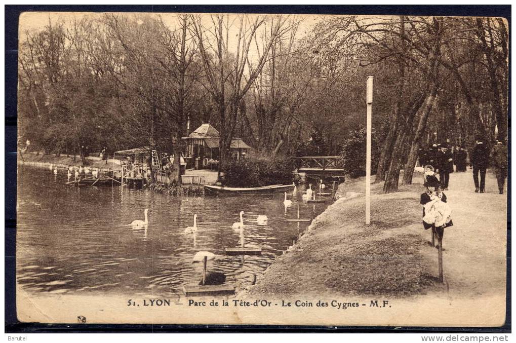 LYON 6 - Parc De La Tête D´Or. Le Coin Des Cygnes - Lyon 6