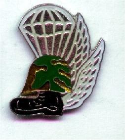 PIN'S ARMEE REGIMENT AEROPORTE (4519) - Militaria