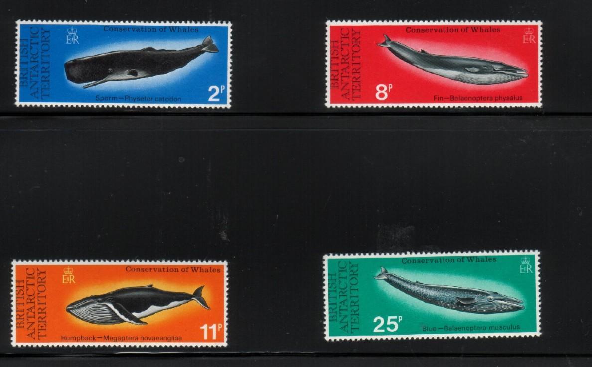 BRITISH ANTARCTIC TERRITORY 1977 WHALE CONSERVATION SET OF 4 NHM PROTECTION OF THE ENVIRONMENT - Baleines