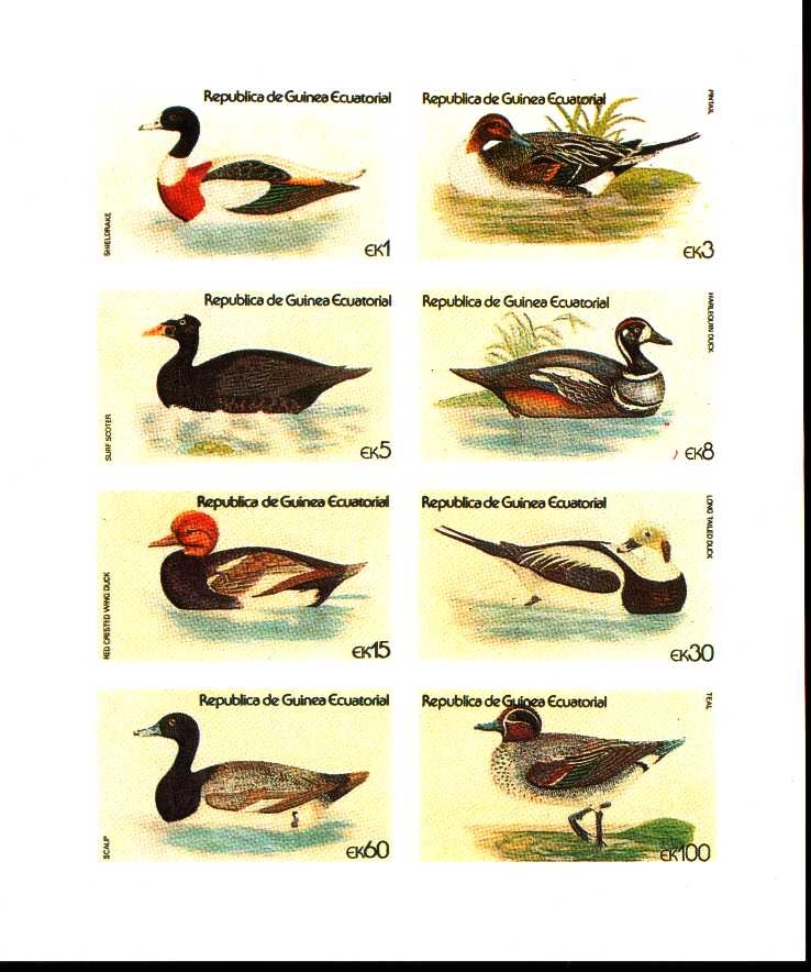 Guinée Bloc De 8 Non Dentelé Canard Duck      - Hoendervogels & Fazanten