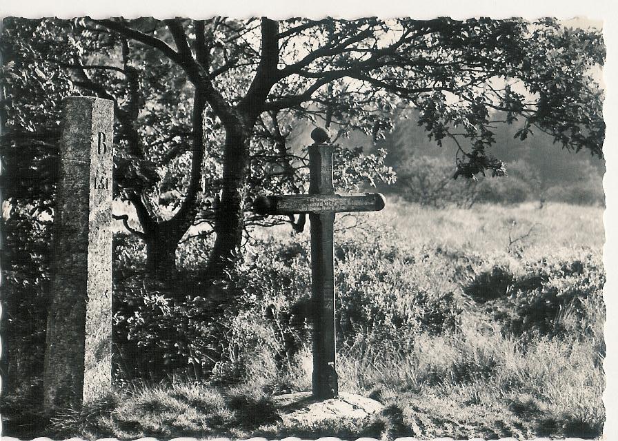 Hautes Fagnes La Croix Des Fiances (b534) - Jalhay