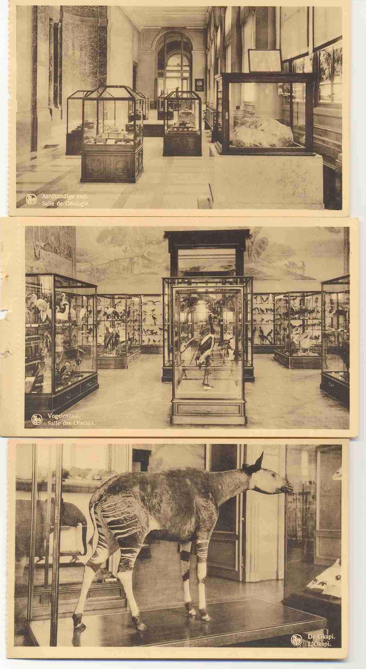 Tervuren, Congo Musueum, 9 Postkaarten Los In Boekje, Enkele Gescheurd!!! Aan Rand , NELS, Zie Scans (d4) - Tervuren