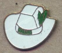 PIN'S USA DALLAS (4780) - Steden