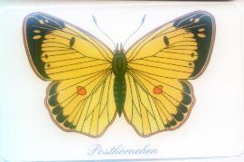 Germany-butterfly-1 - Altri & Non Classificati