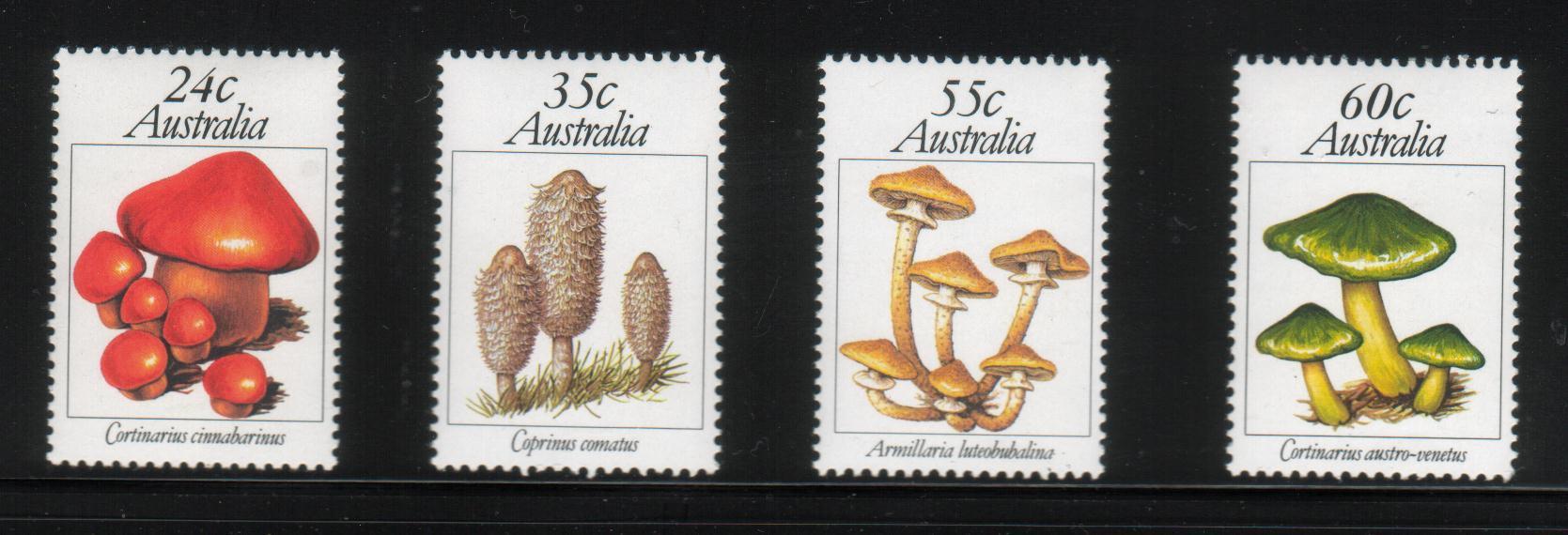 AUSTRALIA 1981 SG 823-826 MUSHROOMS FUNGI SET OF 4 NHM Pilze Champignons Funghi Hongos - Ungebraucht