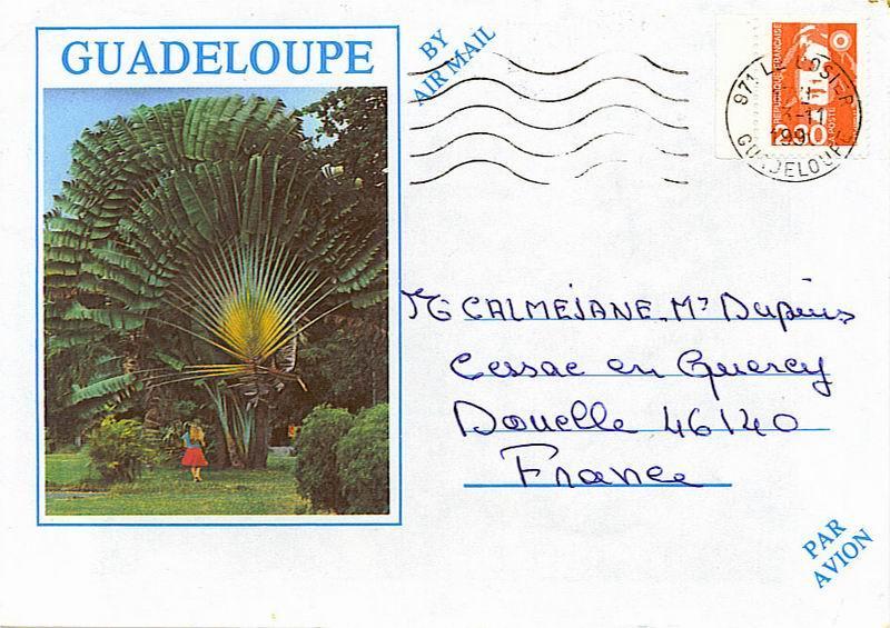 Guadeloupe : Enveloppe Illustrée  Pour La France 1990. Superbe ! - Covers & Documents