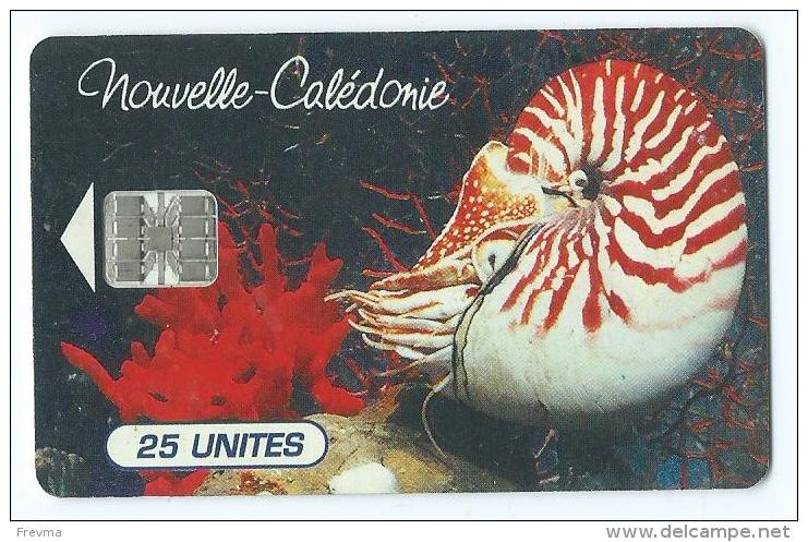 Telecarte Nouvelle Caledonie Nautile De L'aquarium NC 38A - Nouvelle-Calédonie