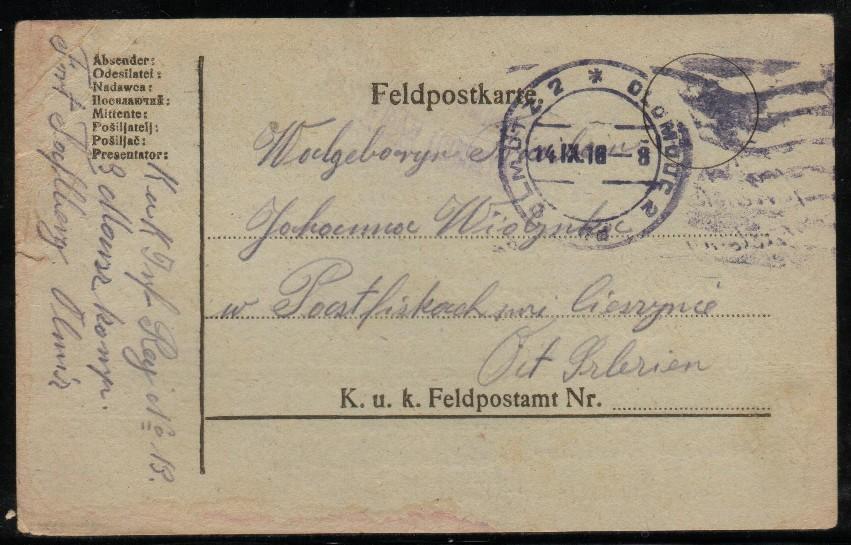 GERMANY/AUSTRIA WW1 FELDPOST COVER 14 XI 1918 (TR104) - Covers & Documents