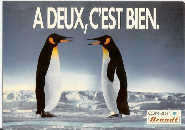 A Deux, C´est Bien! Carte Publicitaire Brandt, Pingouin, Photo Christian Kettiger (07-525) - Tigres