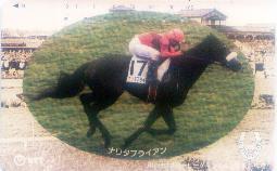 Japan - Horse 3 - Caballos