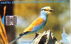 GAMBIE 125U 1994 KINGFISCHER OISEAU BIRD - Gambia