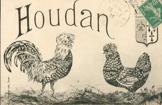 Houdan. Coq, Poule, écusson - Houdan