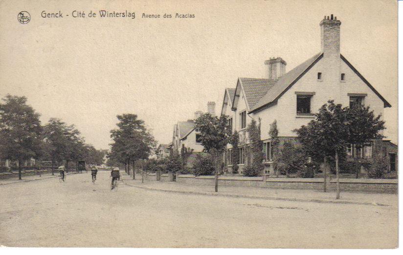 GENK   Cité De Winterslag - Avenue Des Acasias - Genk